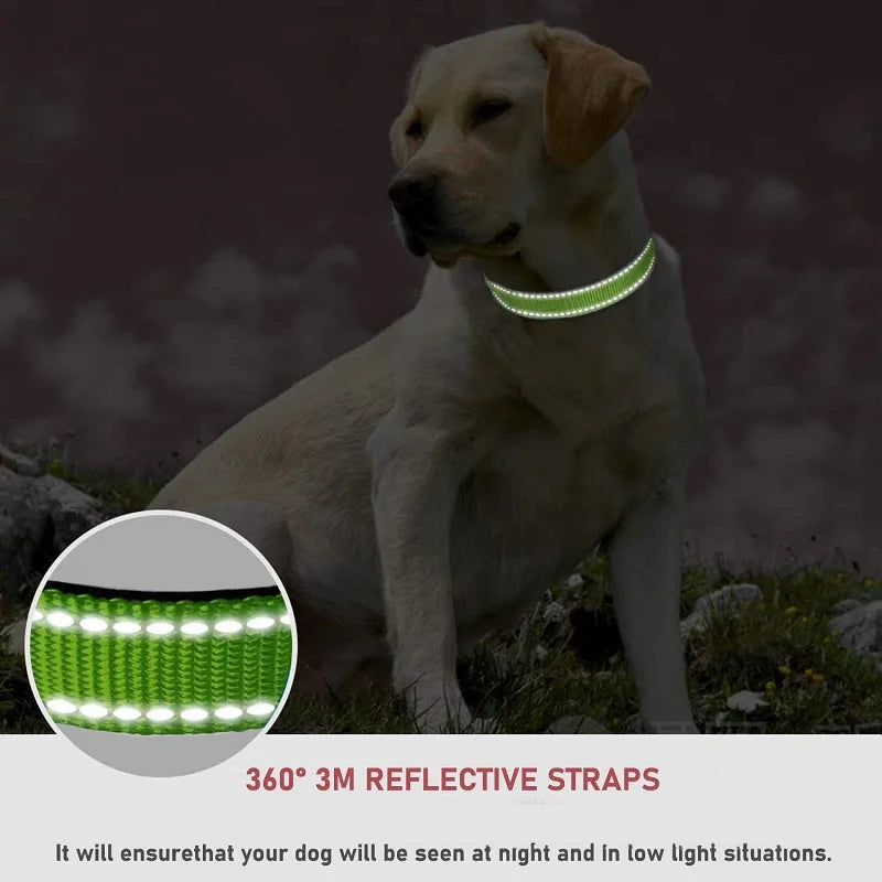 Collars for Dogs Choker Small Dog Collar Puppy Neck Collar Big Decorative Dog Collar GXQ07